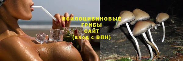 соль курить ск Костерёво