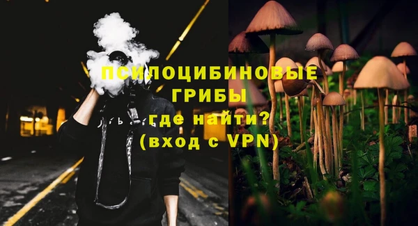 прущая мука Арсеньев
